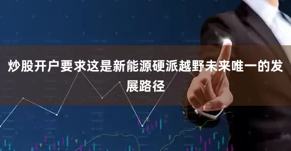 炒股开户要求这是新能源硬派越野未来唯一的发展路径