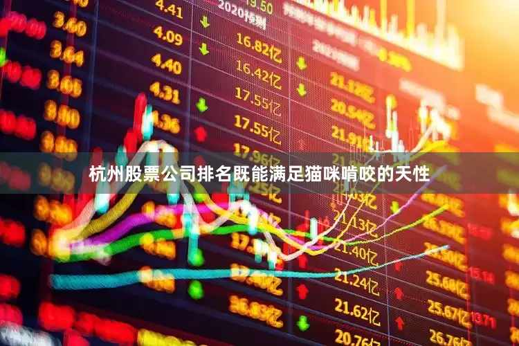 杭州股票公司排名既能满足猫咪啃咬的天性